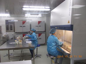 Intertek成功备案特殊食品验证评价技术机构，助推行业高质量发展