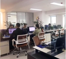 技术引领未来，专业铸就卓越——XX公司技术咨询服务简介